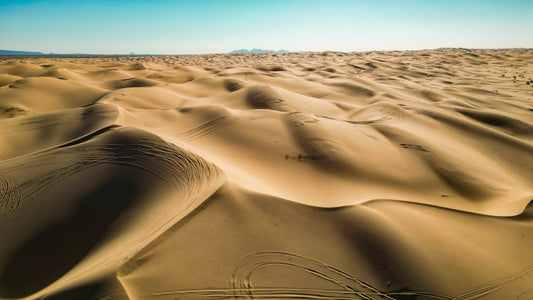 Rally Behind the Discovery II in the Rebelle Rally! - Golden Rovers