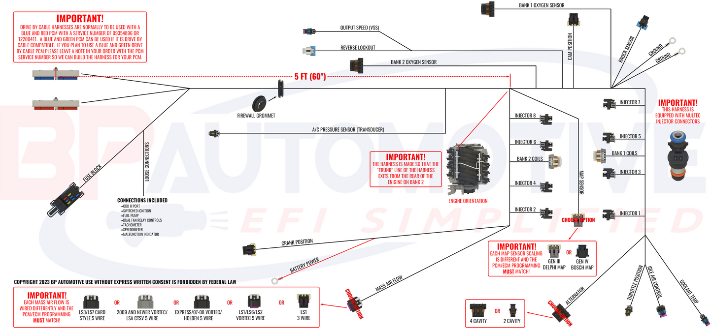 Gen III LS Red/Blue DBC Standalone Harness, Non-Emissions, T56/Non-Electric Trans