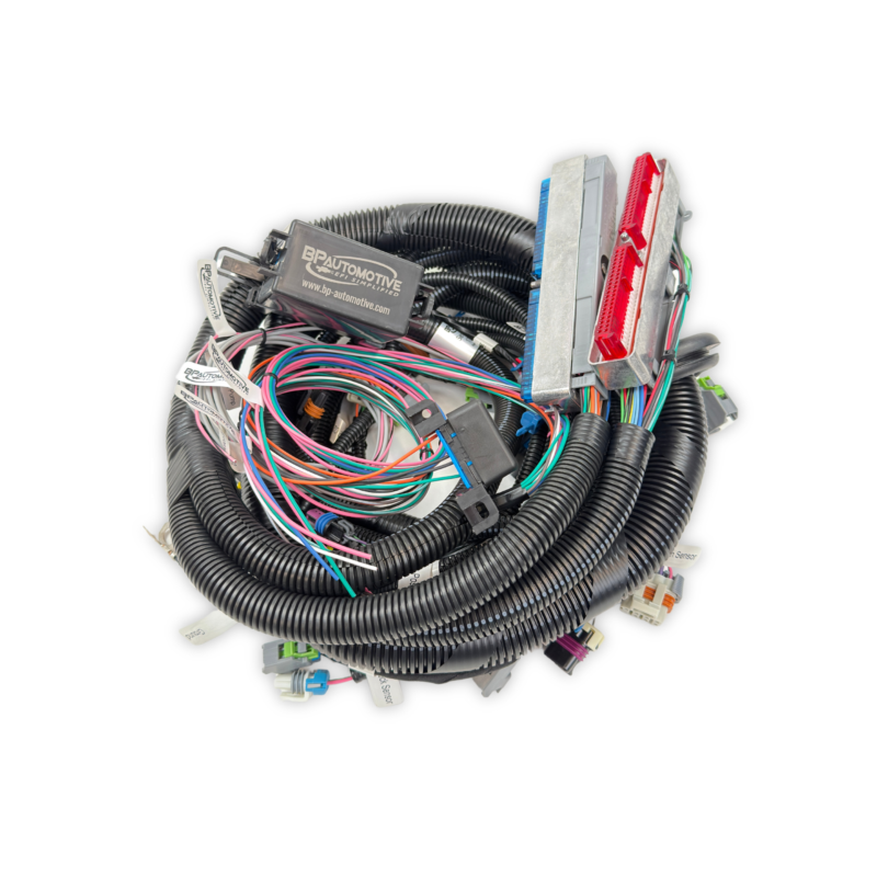 Gen III LS Red/Blue DBC Standalone Harness, Non-Emissions, T56/Non-Electric Trans
